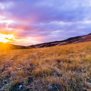 golden-grasslands-at-sunset-south-san-francisco