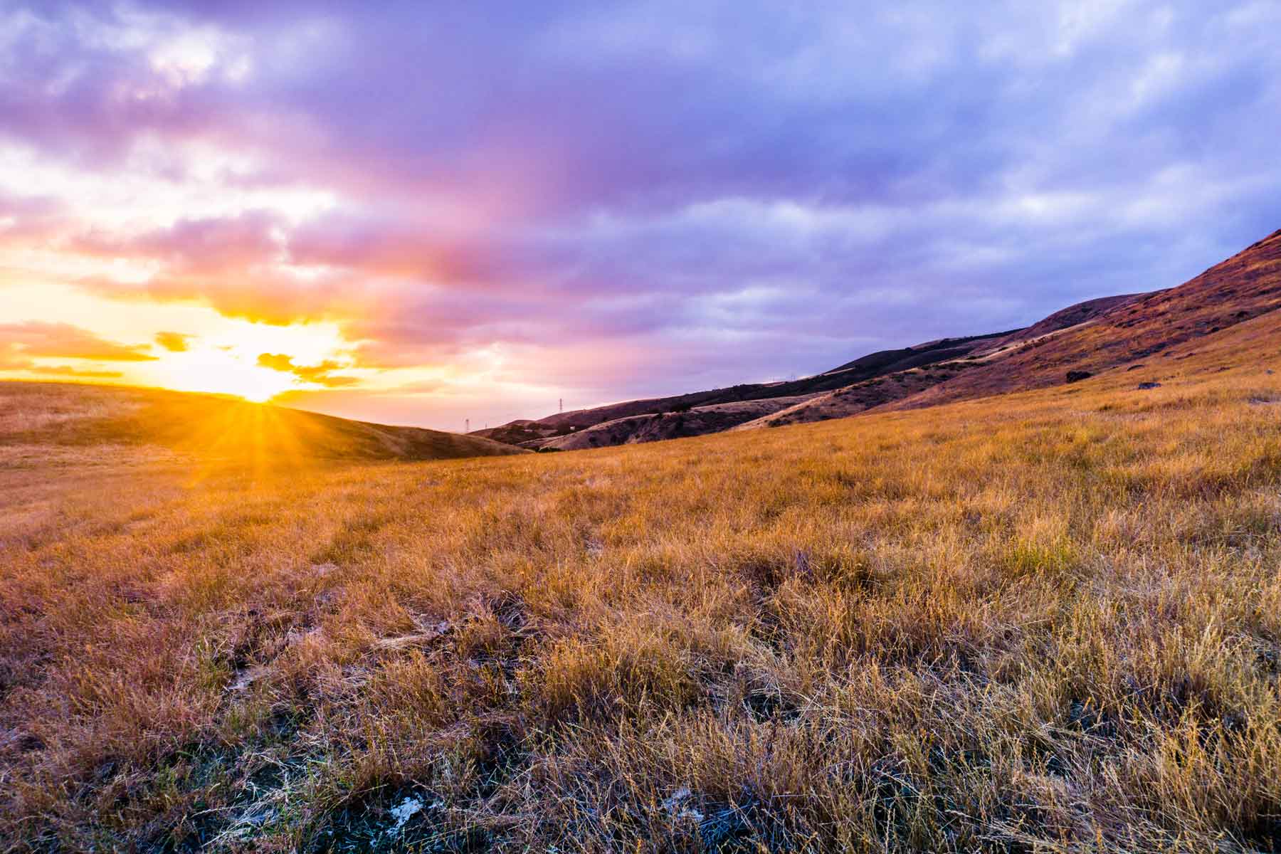 golden-grasslands-at-sunset-south-san-francisco